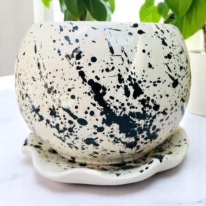 Maceta Grande de Cerámica Salpicado Negro con Plato – Diseño Único y Moderno – Ideal para Plantas, Suculentas y Decoración – 15 x 13 cm